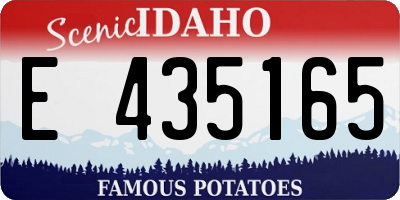 ID license plate E435165