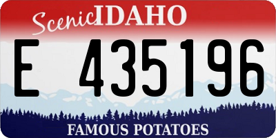 ID license plate E435196