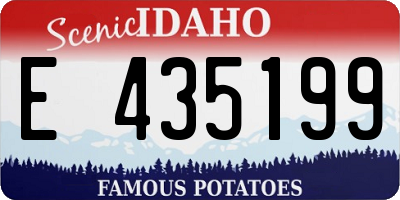 ID license plate E435199