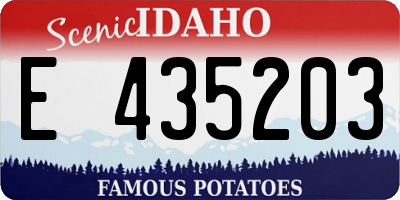 ID license plate E435203