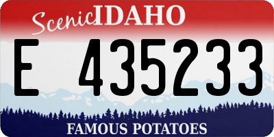 ID license plate E435233