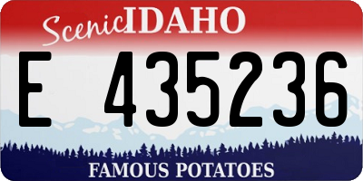 ID license plate E435236