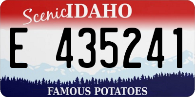 ID license plate E435241