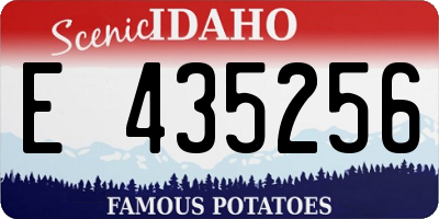 ID license plate E435256