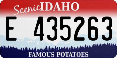 ID license plate E435263