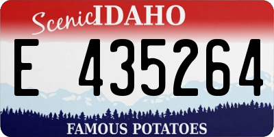 ID license plate E435264