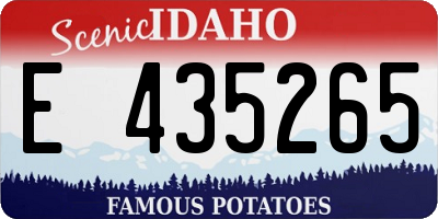 ID license plate E435265