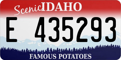 ID license plate E435293