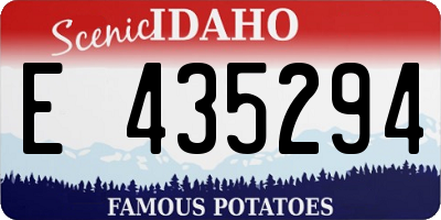 ID license plate E435294