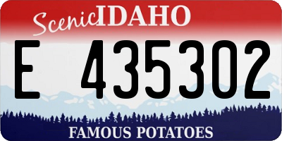 ID license plate E435302