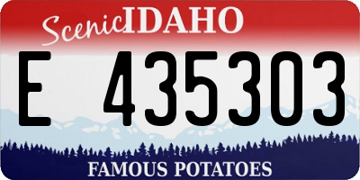 ID license plate E435303
