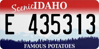 ID license plate E435313