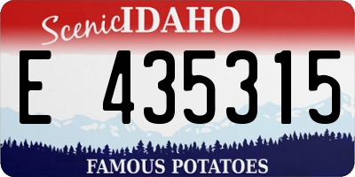 ID license plate E435315