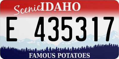 ID license plate E435317