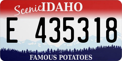 ID license plate E435318
