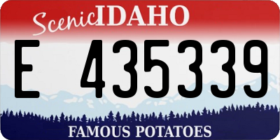 ID license plate E435339