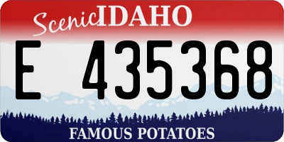 ID license plate E435368