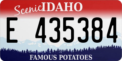 ID license plate E435384