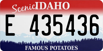 ID license plate E435436