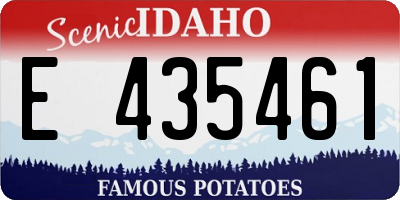 ID license plate E435461