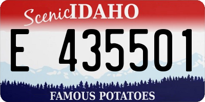 ID license plate E435501