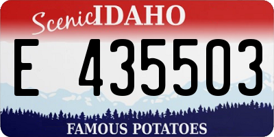 ID license plate E435503