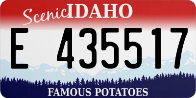 ID license plate E435517