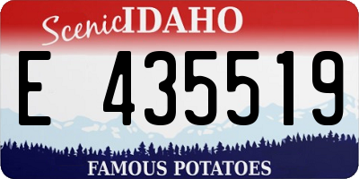 ID license plate E435519