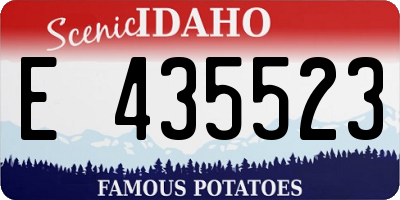 ID license plate E435523
