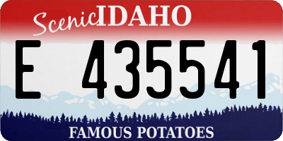 ID license plate E435541