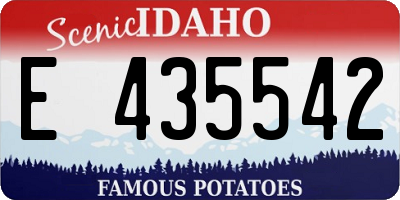 ID license plate E435542