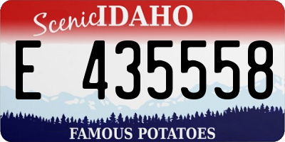 ID license plate E435558