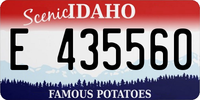 ID license plate E435560