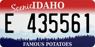 ID license plate E435561