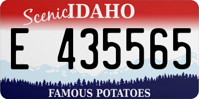 ID license plate E435565