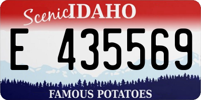 ID license plate E435569