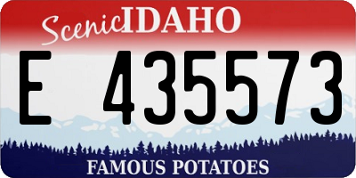 ID license plate E435573