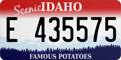 ID license plate E435575