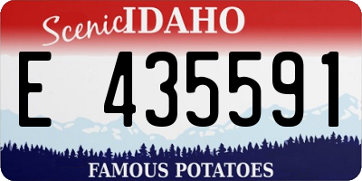 ID license plate E435591