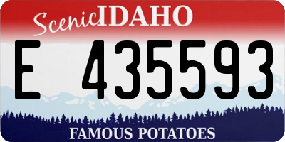 ID license plate E435593