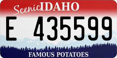 ID license plate E435599