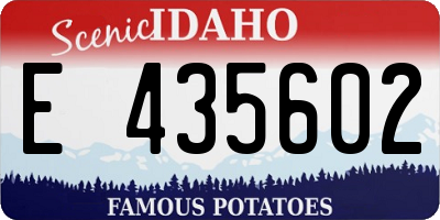 ID license plate E435602