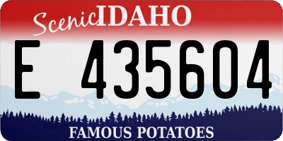 ID license plate E435604