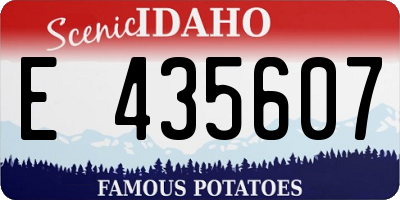 ID license plate E435607