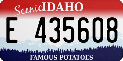 ID license plate E435608