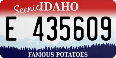 ID license plate E435609