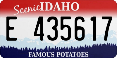 ID license plate E435617