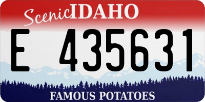 ID license plate E435631