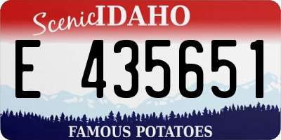 ID license plate E435651