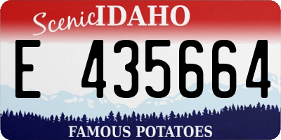 ID license plate E435664